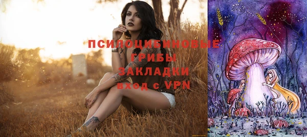 дурь Новокубанск