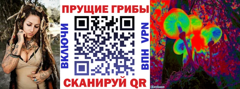 Псилоцибиновые грибы мицелий  Красный Холм 
