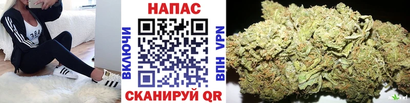 Бошки Шишки конопля  купить   Красный Холм 